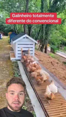 Galinheiro totalmente diferente do convencional! #agro #rural #fazenda #roça 
