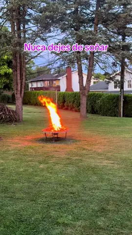 Dofeutar de la naturaleza 🥰#foryou #belleza #motivacion #café rico☕🥰 #creeenti #reflexion #amorinfinito 