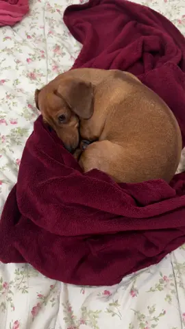 Ya se acordó🤣🤣🤣