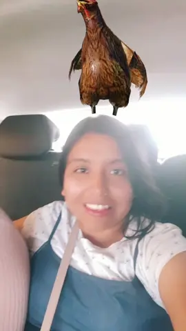 🙂 al que le toca; invita el almuerzo 🤭 #sicaya_huancayo_peru😘  #paseoenfamilia 