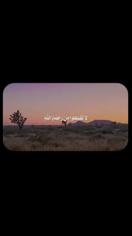 سورة الزمر (٥٣) القارئ #بدر_التركي  المختصر في التفسير: قل - أيها الرسول - لعبادي الذين تجاوزوا الحد على أنفسهم بالشرك بالله وارتكاب المعاصي: لا تَيْئَسُوا من رحمة الله، ومن مغفرته لذنوبكم، إن الله يغفر الذنوب كلها لمن تاب إليه، إنه هو الغفور لذنوب التائبين، الرحيم بهم. #اكتب_شي_توجر_عليه #اجر_لي_ولك #اجر_لي_ولكم #قران #تلاوة_خاشعة #ارح_سمعك_بالقران #quran #foryou 