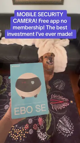 If you agve soemone near and dear to your life who is hard to shop for PLEASE buy this for them! I want to see a ton of these pet videos on Tiktok!! #giftideas #security #safety #camera #securitycamera #remotecontrol #remotecontrolcamera #mobilecamera #surveillance #homesafety 