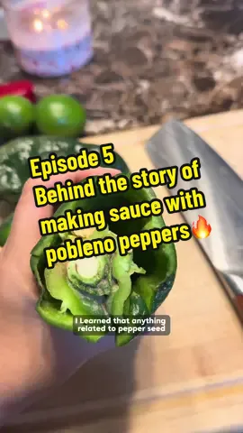 Episode 5: Behind the story of making sauce with pobleno peppers🫙🔥 #SmallBusiness #business #sauce #poblenopeppers 
