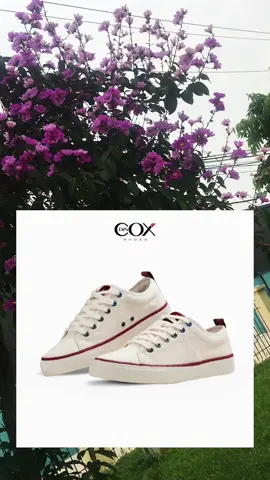 Giày Sneaker vải canva đế bằng đang có trợ giá tốt #thangvustore #thoitrang2024 #thoitrangnamnu #xuhuong2024 #thoitrangnu #thoitrangnamnuxuhuong #giaydep #giaydepxinh #giaythethao #giaysneaker #giaynam #giaynu #thoitrang2024  @ThangVustore  @ThangVustore  @ThangVustore 