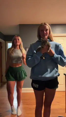 purrrrfect😻😻 #kitty 