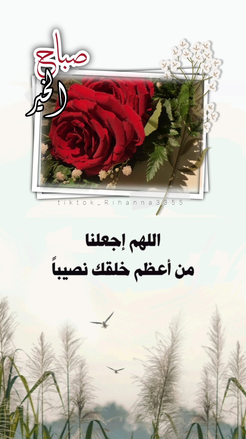 دعاء الصباح #تصاميم_rihanna_3355 #اكسبلور #استغفر_الله #الحمدلله_دائماً_وابداً #صباح #اذكار_الصباح #دعاء_يريح_القلوب #ذكر #اصبحنا_واصبح_الملك_لله #صباحكم_معطر_بذكر_الله #صباح_الخير #صباحكم_أحلى_صباح#الحمدلله_دائماً_وابداً #اكتب_شي_توجر_عليه 