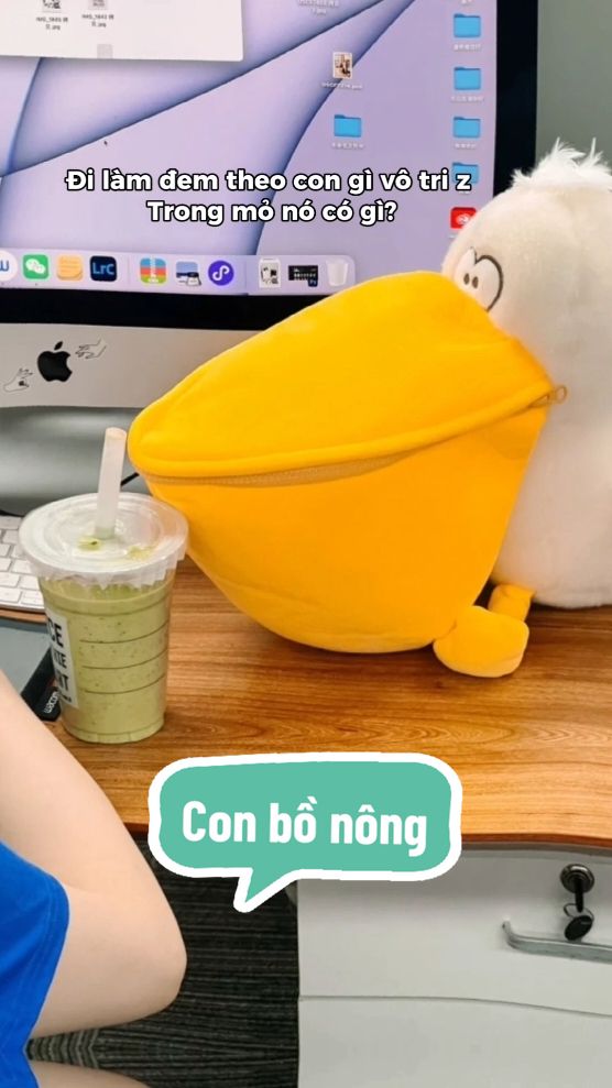 Unbox mỏ bồ nông cho Sếp coi.. Tĩu sữ t số 127 có nha, gấu bông bồ nông, con bồ nông nhồi bông, con chim có cái miệng to đựng đồ, đồ chơi vô tri #quachonguoiyeu #quachobangai #votrinhungvui #votri #dozotri #dotri #zotri #quasinhnhat 