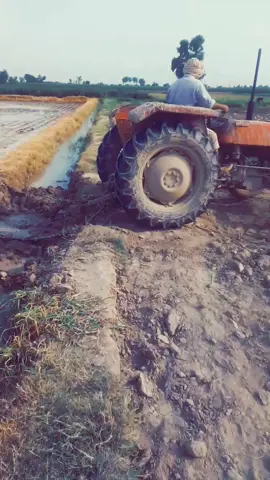 ###fyp #hashtag #fyp 