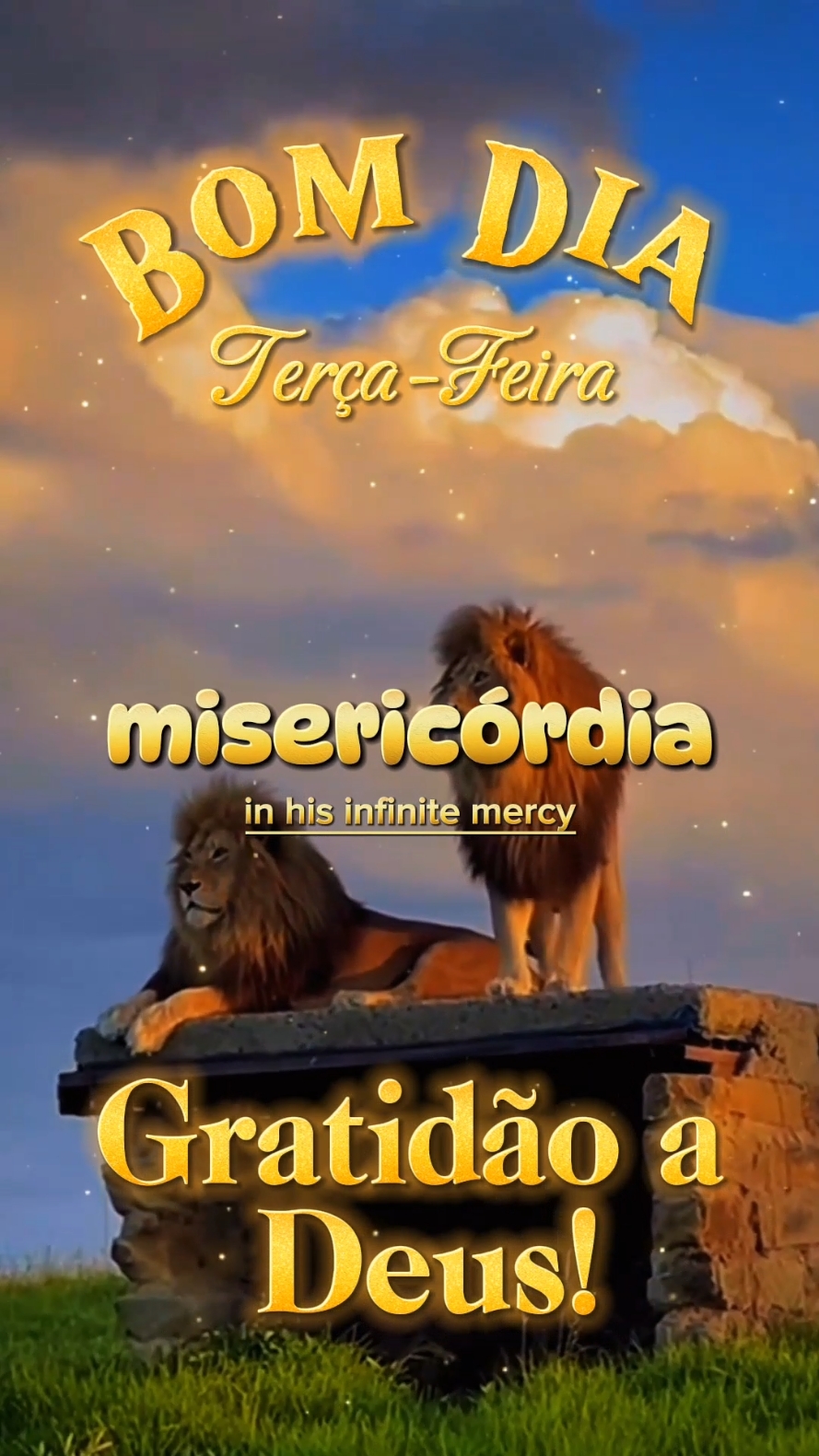 Bom dia Terça-feira.  #deus  #bomdia  #oracao  #motivacional  #god  #goodmorning  #reflexaododia  #sejamleoes  #tercafeira  #gratidao 