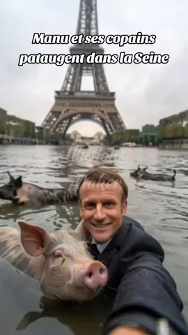 Au tour de Manu et ses copains de se baigner  dans la Seine 😂😂 #macron #seine #swimming #pig #fake #ai #fyp 