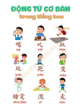 Động từ cơ bản thường gặp trong tiếng Hoa #tuvungtiengtrung #tuhoctienghoa #tuvunghsk #dongtu 