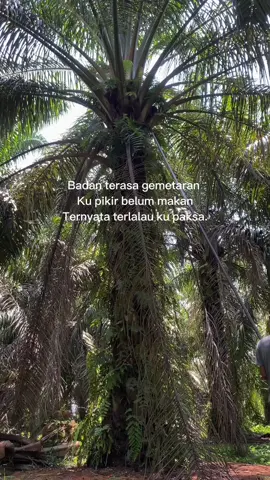 Tiada hari tanpa kerja #tetapsemangat💪💪 #fyp #xyzbca #foryou #galaubrutal 