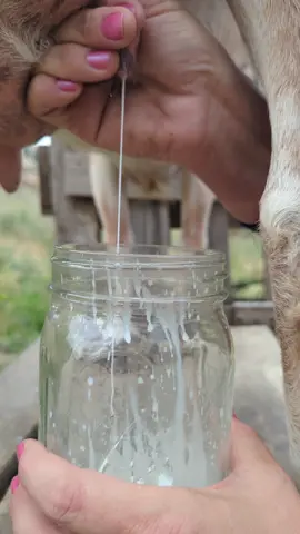 #foryou #homestead #farmlife 