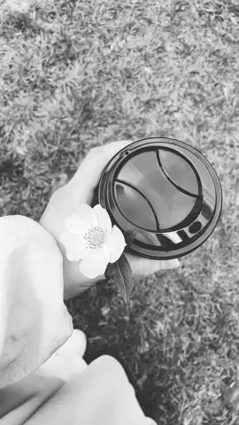 ##صباح_الخير #فيروزيات #مجرد_ذووقツ🖤🎼 #🕊️🤍 #fypシ゚viral #لايك__explore___ 