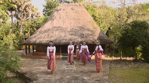 SINOPSIS TARIAN Tema : Menanam Jagung ( Sen Pena’) Penari : Mahasiswa/i Universitas Terbuka asal Kefa - Timor Asal Tarian : Dawan – Timor Tempat Pengambilan Video : Sonaf Maubes – Kiupasan - TTU Jumlah Penari : 5 (lima ) orang Pelatih/ Pendamping : John Taus *) Sedikit Filosofi : Orang Dawan ( Atoen Pah Meto = Manusia penghuni Tanah Kering ) di Timor itu adalah Petani lahan kering. Tanah kering itu diolah sedemikian mulai dari siapkan lahan, ketika hujan turun ditanami dengan berbagai bibit misalnya jagung. Menurut sejarahnya, Jagung itu identic dengan manusia (Atone) yang harus dilestarikan karena menjadi salah satu makanan yang dapat menghidupkan manusia maka untuk menanamnya perlu didahului dengan upacara adat (namun karena dibatasi dengan durasi penampilan maka semuanya tidak dapat ditarikan di sini); Jagung juga selalu menjadi salah satu upeti natura ( tatama’maus/ tatam pen tauf ) yang harus dipersembahkan kepada Raja dan sebagai tanda syukur dilanjutkan dengan pesta panen raya berupa tari-tarian ( Bidu atau Bilut) dari gadis2 desa yang cantik dan para pemuda ganteng sebagai tanda syukur kepada Tuhan Mahapencipta , Sumber pemberi Rahmat atas hasil panen ( = Tuhan memberi Pen Pune naek ma Ane siko naek ) dan demi menghormati Raja sebagai pemimpin masyarakat. *) Kepala Sentra Layanan Universitas Terbuka ( SALUT ) Kefa Mnanu - TTU