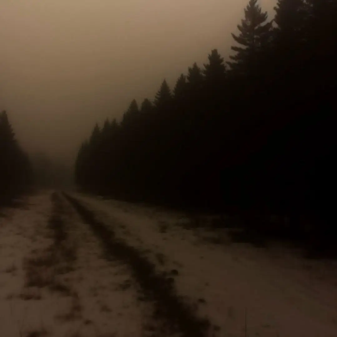 Maybe I deserve someone else, but i always wanted it to be you.