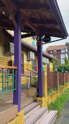 🛎️🏨Selina is the ideal place to have fun and relax. You can meet people from all over the world, some working, others staying, others on vacation. 👩🏼‍🤝‍👨🏾 ✨It is a place full of good energy and unforgettable memories.🌞 ⬇️ Tell us in the comments, do you know @Selina?