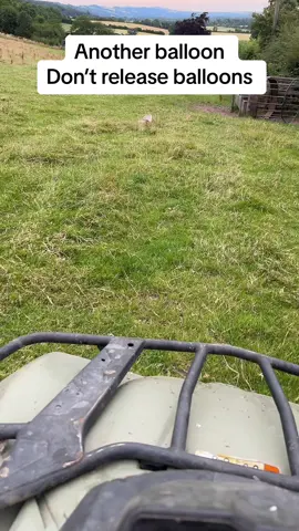 Stop releasing balloons they are bad for farm stock, nature and the environment #fyp #LearnOnTikTok #EduTok #education #respect 