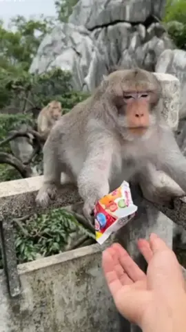 #funnyvideos #foryou #supriyak1🇳🇵 #😂😂😂😂😂 