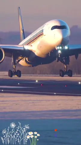 انا مسافر يا امي ودعيني####💔💔💔 ######لبنان سوريا فلسطين####