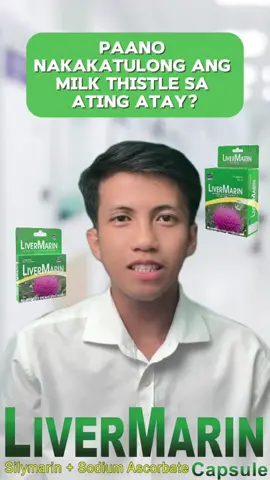 Ano ang importansya ng Milk Thistle sa ating atay? #LiverMarin #LiverCarePH #FoodSupplement #HealthyLiving #Liver #fyp #foryou 