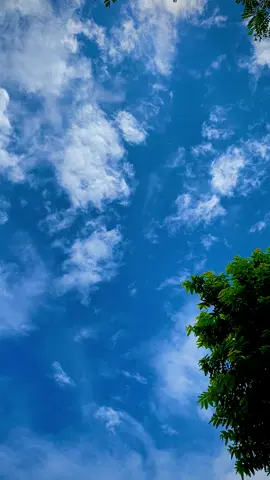 Whether💙🍃#ar_rahman599 #foryou #foryou #trending #sky #💙🥀 #viral #video #bangladesh @TikTok Bangladesh 
