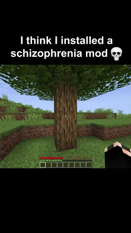 this schizophrenia mod is crazy man :( #mcyt #minecraftmoment #fyp #foryou #foryoupage #herobrine #minecraft