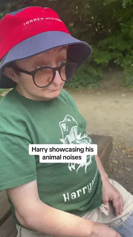 #dino #harry #dinosaur #sheffield #sheep #cockeral #birds #trex 