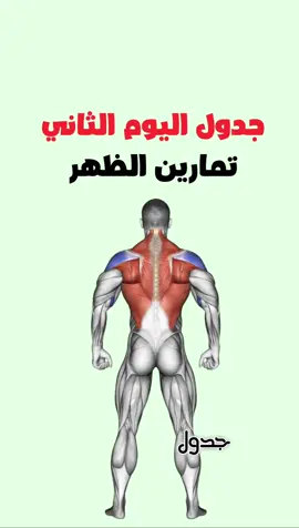 جدول تمارين الظهر ، جزء ٢ #كمال_الاجسام #رياضة_كمال_اجسام #workout #Fitness #اكسبلور 
