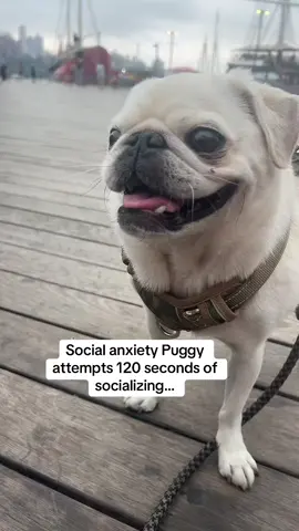 In his defense the vibes were weird