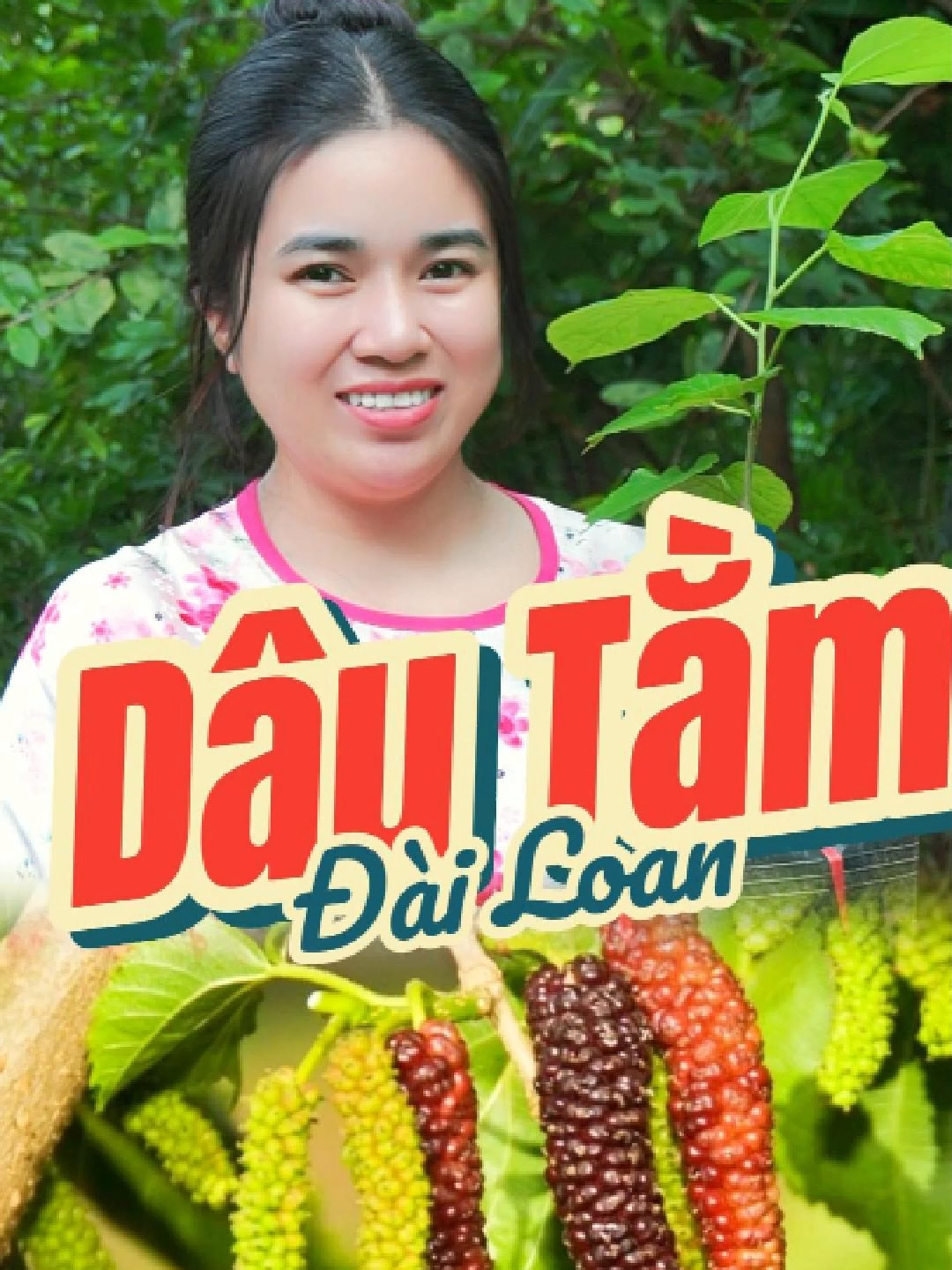 Dâu Tằm Đài Loan giống cây độc lạ cho cả nhà mình #vuacaygionghuyenlinh #dautamtraidai #dautamdailoan