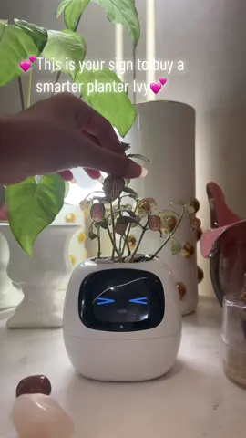 This is the cutest planter ever!💕🌷🌸 @plantagotchi helping to publicize 💕 amazing product#plantagochi #cuteplanter #aiplanter #planter #foryoupage #trending 