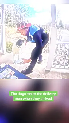 #ring #ringdoorbell #ringcam #videodoorbell #ringvideodoorbell #doorbellcamera #doorbellcameravideos #homesecurity #smarthome #doorbell #doorbellvideo #securitycamera #ring #wyze #blink #vivint #adt #ringcamera #shorts #reels #smarthome #homesecurity #neighbor #neighbors #roku #rokucam #rokucam 