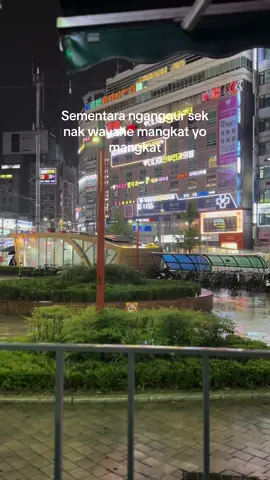 Neng mbuh kapan mangkat ee #CapCut #fypシ゚viral #fypシ #tkikorea🇰🇷🇮🇩 #pmikorea🇮🇩♡🇰🇷 #cpmikorea🇮🇩🇰🇷 #pejuangwon🇰🇷🇲🇨 #kenshuuseijapan🇮🇩🇯🇵 #tkitaiwanindonesia🇹🇼🇲🇨 