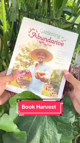 What a beautiful #harvest from the #garden 🤩👨🏽‍🌾✨ #farmlife 