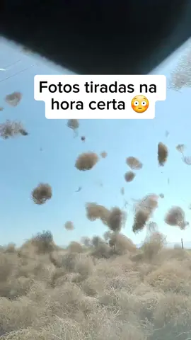 #fotostiradasnomomentocerto 