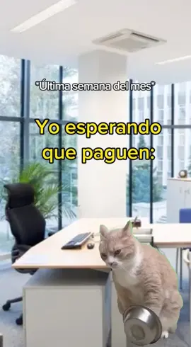 #Viral #nopagan #quepaguenya