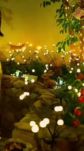 Firefly Solor Light link in bio.... #onlineshopping #homedecor #household #gadget #darazonlineshopping #electronics #fyp #foryou 