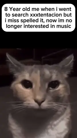 Who has searched and actually miss spelt it in the past 😭 #capcut #runaway #catstaring #catmeme #memes 