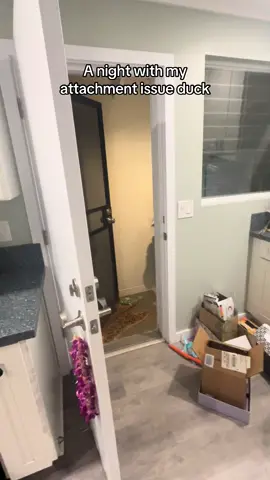 Personality hire duck. His name is goose for all you new people. 