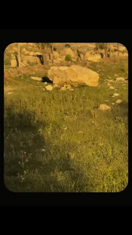 The world is yours🌏❤️#fyppppppp #unfreezemyacount #fyppppppppppppppppppppppp #foryoupage 