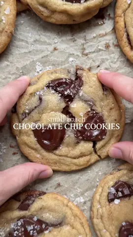 small batch chocolate chip cookies! 🍪  aka my PERFECT chocolate chip cookies. Aaaand I know that’s a big statement but they’re my version of perfect. They’re made with brown butter & pools of melty chocolate so there’s a ton of flavor packed into the dough - plus they’re soft with crisp edges & don’t require a mixer.  🍪 find the full recipe on my blog, 🔗 in my bio, or search up “fresh bean bakery small batch chocolate chip cookies”! #chocolatechipcookies #brownbutter #cookies #chocolate 