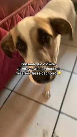 Miseravi desse 😂 #fy #fypシ #vaiprofycaramba #vaiprofyinferno👺🔪 #fyppppppppppppppppppppppp 