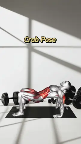 Crab Pose Abdominal Exercises To Reduce Belly Fat Crab walk your way to a fantastic morning! This fun and challenging exercise works your entire body, from your arms and shoulders to your core and legs. It's a great way to improve strength, balance, and coordination while getting your heart rate up. So, get ready to crawl your way to a more energized you! #crabwalkchallenge #fullbodyworkout #morningworkout #strengthtraining #balancechallenge #coordination #energized #funfitness #getmoving #activelifestyle #fitnessfun #workoutmotivation #fitfam #fitnessjourney #healthylifestyle #strongbodystrongmind #fitinspiration #getfit #stayfit #fitspo #motivationmonday #tuesdaymotivation #workoutwednesday #thirstythursday #flexfriday #saturdayworkout #sundayfunday
