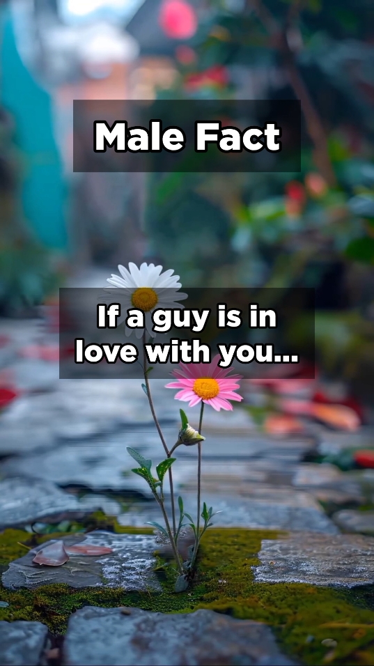 If a guy is in love with you...#foryou #Love #lovequote #Relationship #shorts 