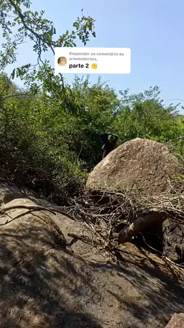 A responder a @artedosbichos_ Salvando os peixes 🌵❤️  #pescaria #peixes #sertaodonordeste🌵 #sertao #caatinga🌵 