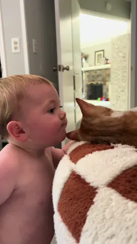 #babiestiktok #babiesandanimals #cats #kittens #family #Love #foryou 