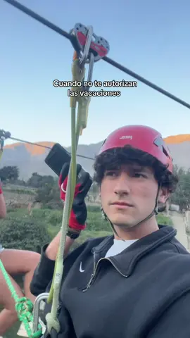 Qué… #vacaciones #trabajo #fyp #canopy #jefes 