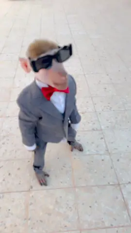 #سويكه #سنيفر #اكسبلور متى تبوني نزوج سنيفر 😂🤦🏻‍♂️