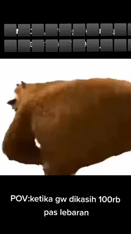 bear dance#meme #beruanglucu